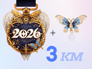 2026 Virtual Race - Image 6