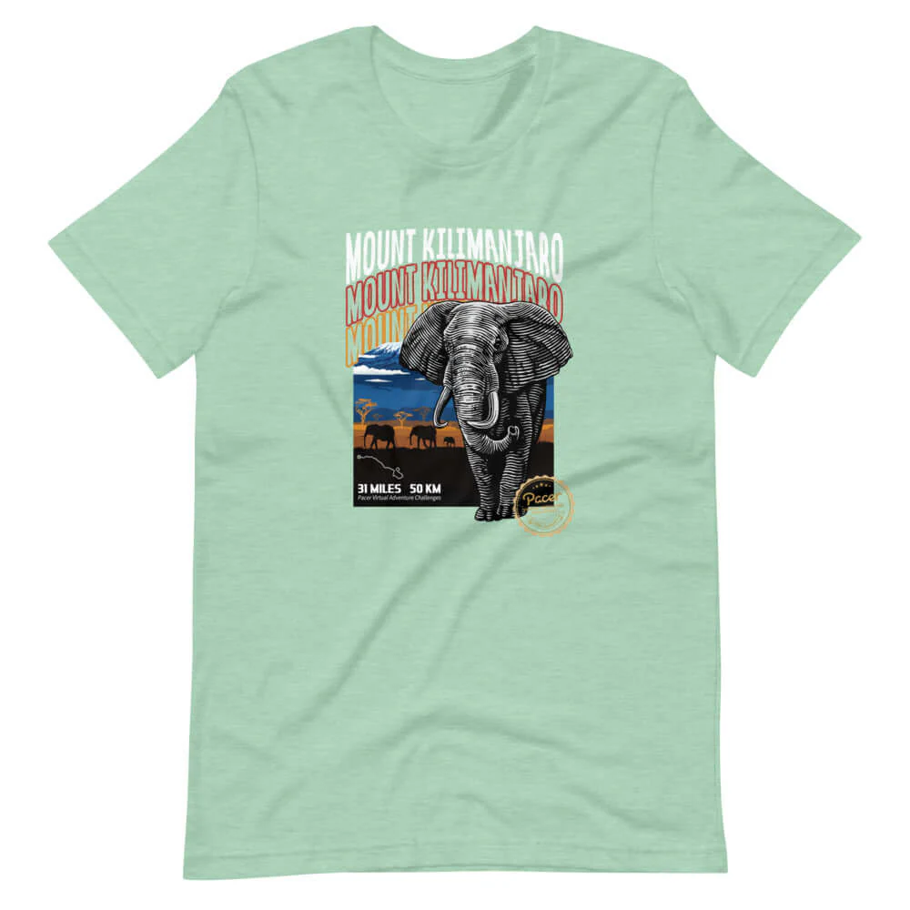 Kilimanjaro Virtual Challenge Unisex T-Shirt - Image 4