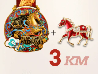 Year of the Horse Virtual Race - Image 6
