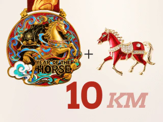 Year of the Horse Virtual Race - Image 8
